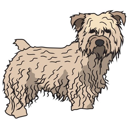 Signmission Glen Of Imaal Terrier Dog Decal, Dog Lover Decor Vinyl Sticker D-12-Glen Of Imaal Terrier